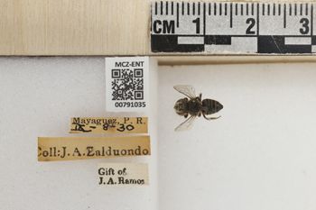 Media type: image;   Entomology 791035 Aspect: Labels